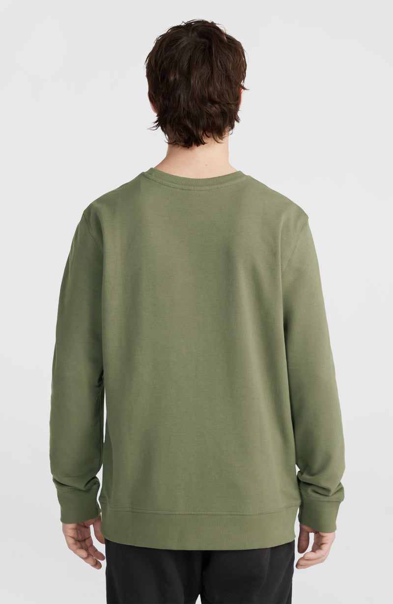 Oneill Men O'Neill Logo Crew Sweatshirt | Green