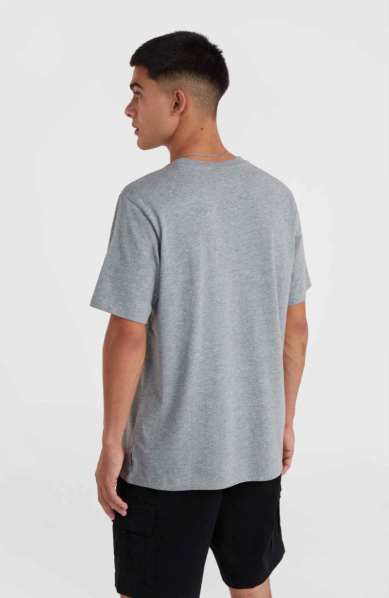 Oneill Men O'Neill Small Logo T-Shirt | Grey