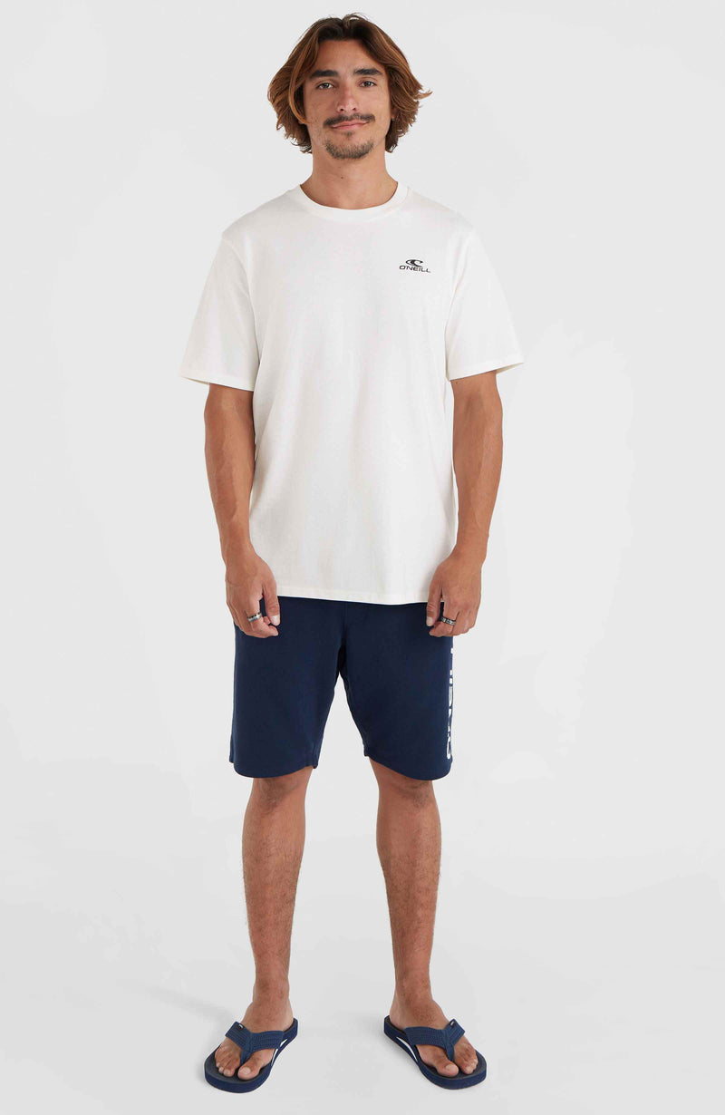 Oneill Men O'Neill Small Logo T-Shirt | White