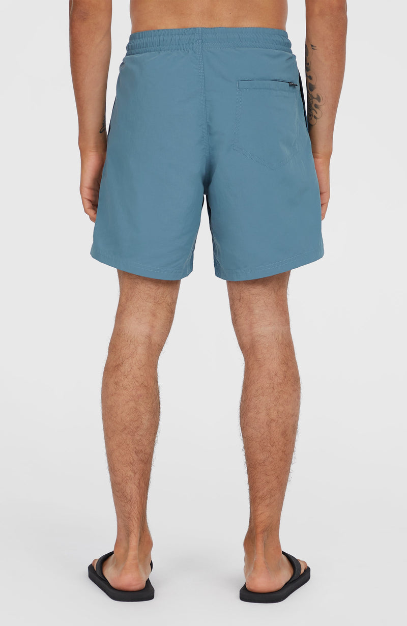 Oneill Men O’Neill Vert 16'' Swim Shorts | Blue