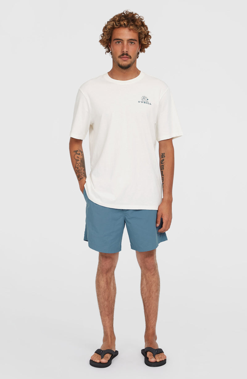 Oneill Men O’Neill Vert 16'' Swim Shorts | Blue