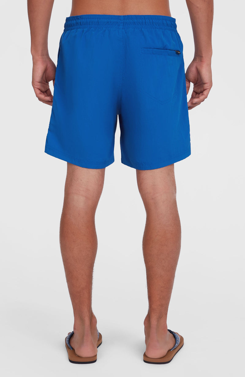 Oneill Men O'Neill Vert 16" Swim Shorts | Blue