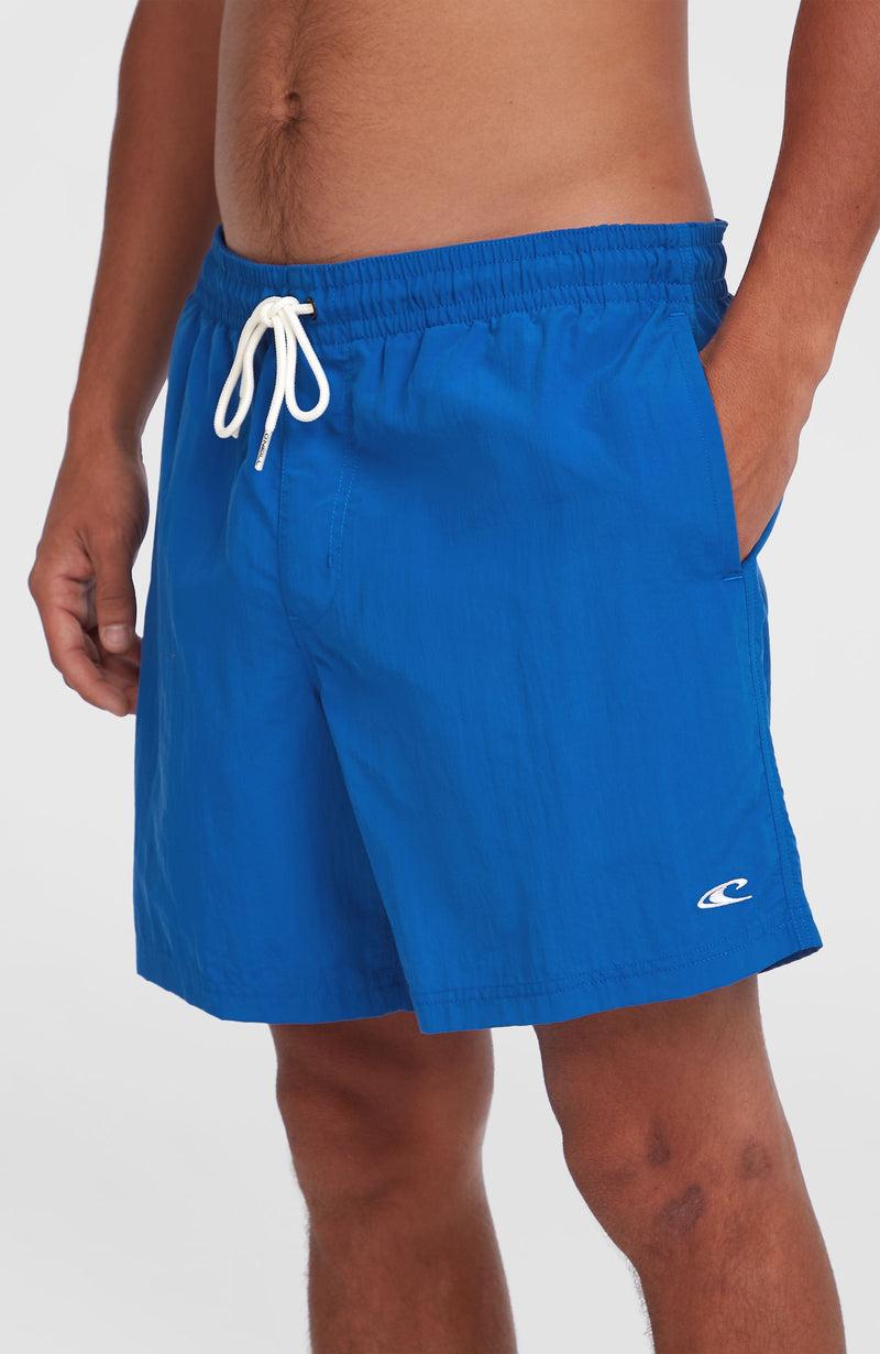 Oneill Men O'Neill Vert 16" Swim Shorts | Blue