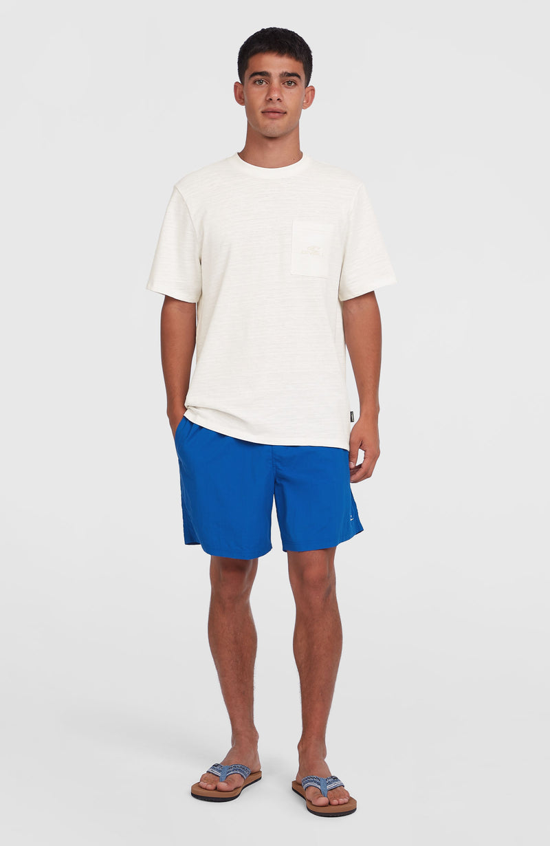 Oneill Men O'Neill Vert 16" Swim Shorts | Blue