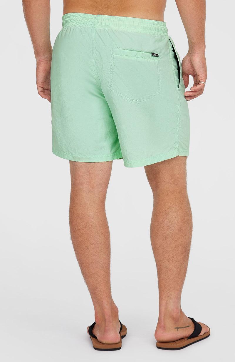 Oneill Men O’Neill Vert 16'' Swim Shorts | Green