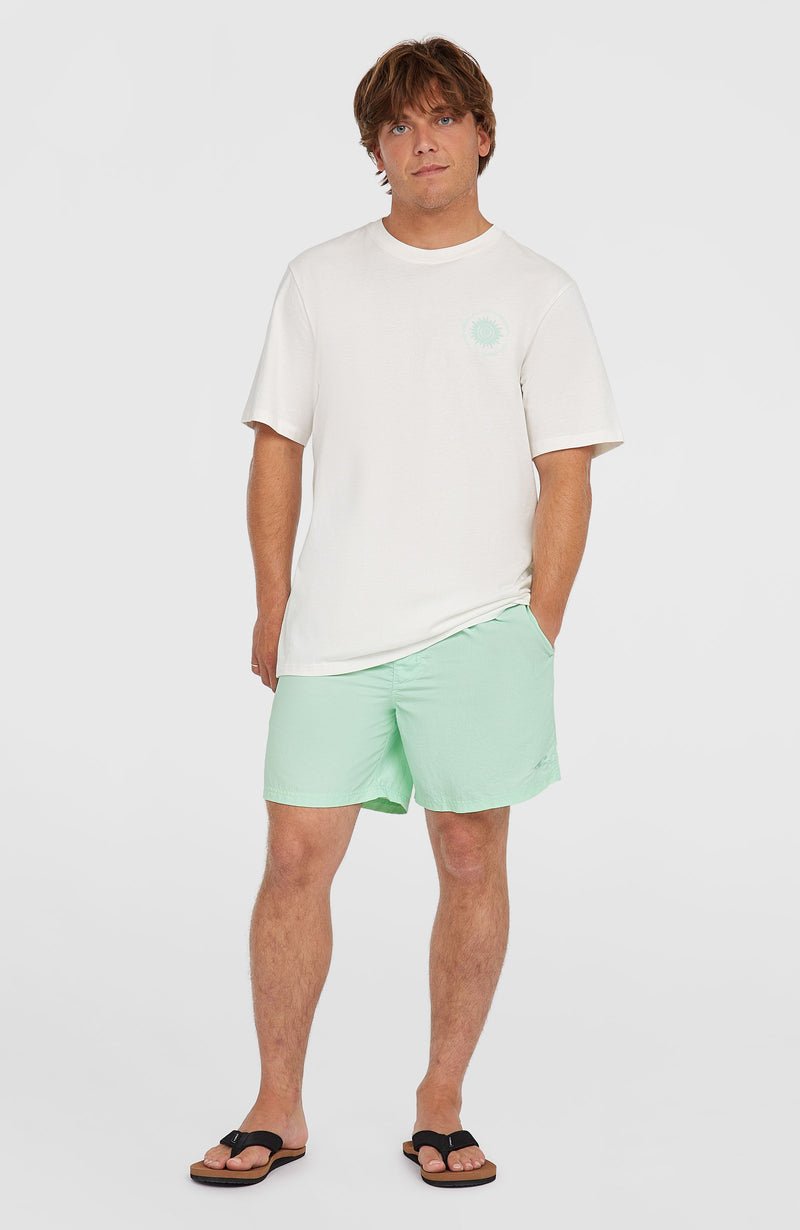 Oneill Men O’Neill Vert 16'' Swim Shorts | Green