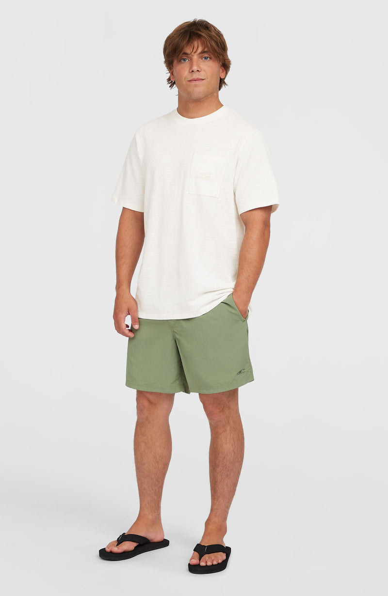 Oneill Men O’Neill Vert 16'' Swim Shorts | Green