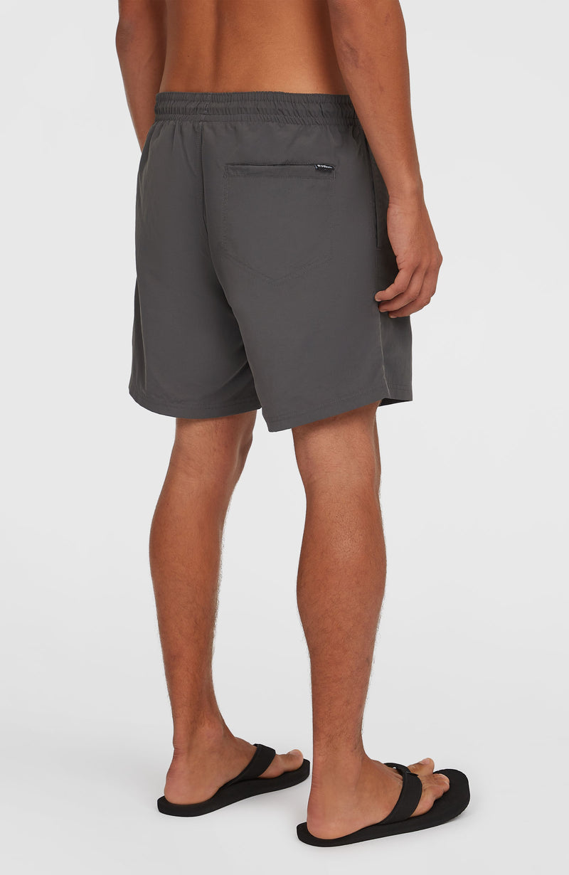 Oneill Men O'Neill Vert 16" Swim Shorts | Grey