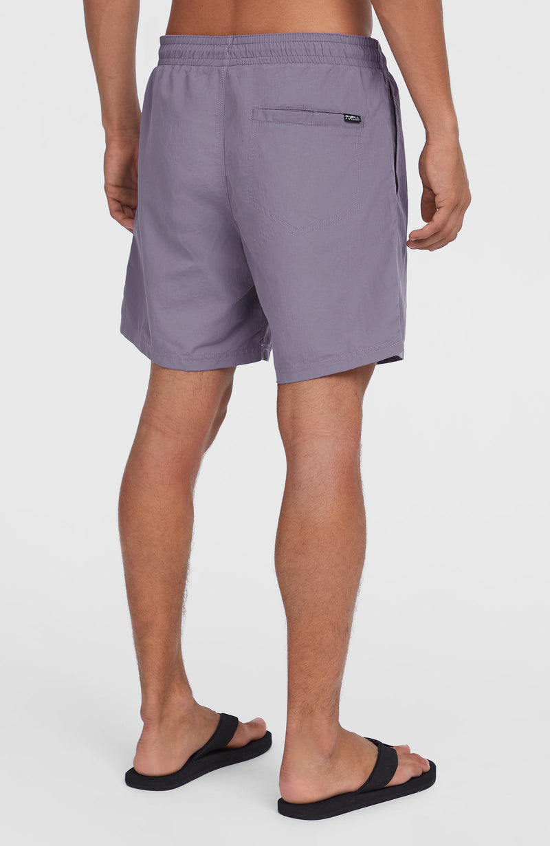 Oneill Men O’Neill Vert 16'' Swim Shorts | Purple