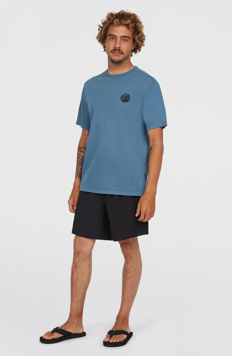 Oneill Men O'Riginals 70s Graphic T-Shirt | Blue