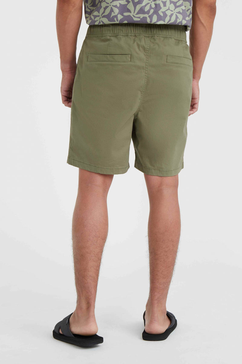 Oneill Men O'Riginals Porter Shorts | Green
