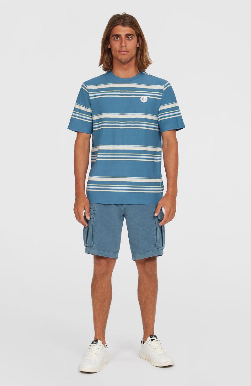 Oneill Men O'Riginals Stripe T-Shirt | Blue