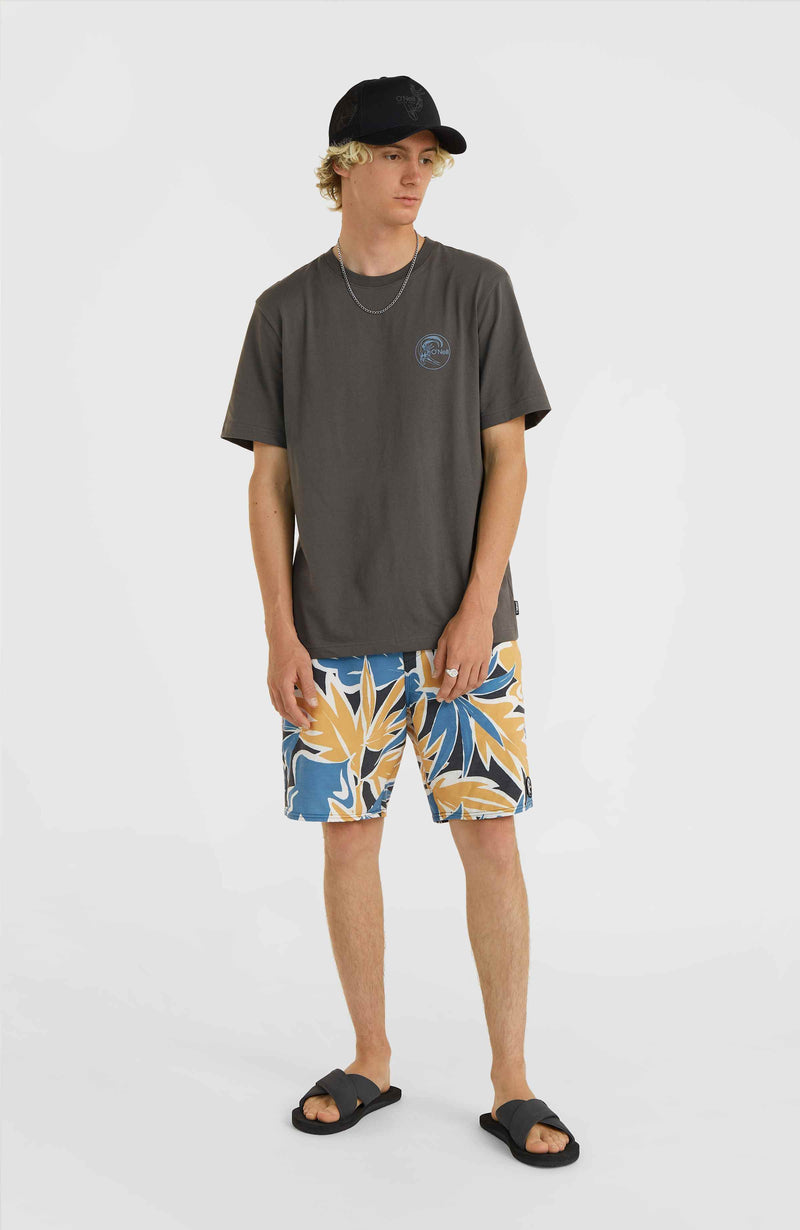 Oneill Men O'Riginals Sun T-shirt | Grey