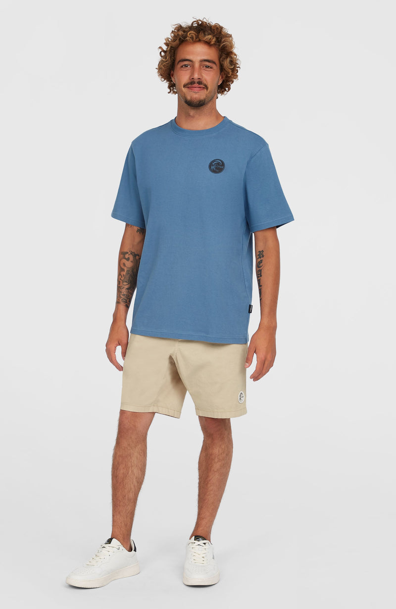 oneill Men O'Riginals Walk Shorts | Beige