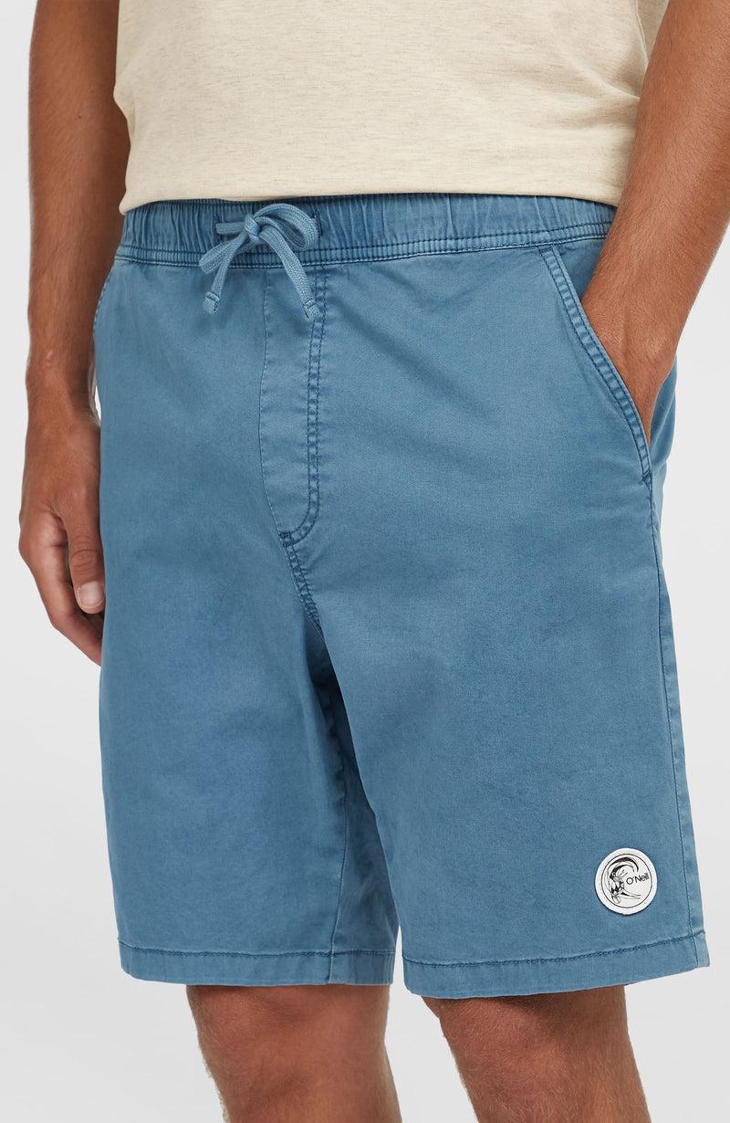 Oneill Men O'Riginals Walk Shorts | Blue