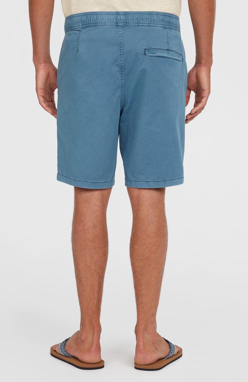 Oneill Men O'Riginals Walk Shorts | Blue