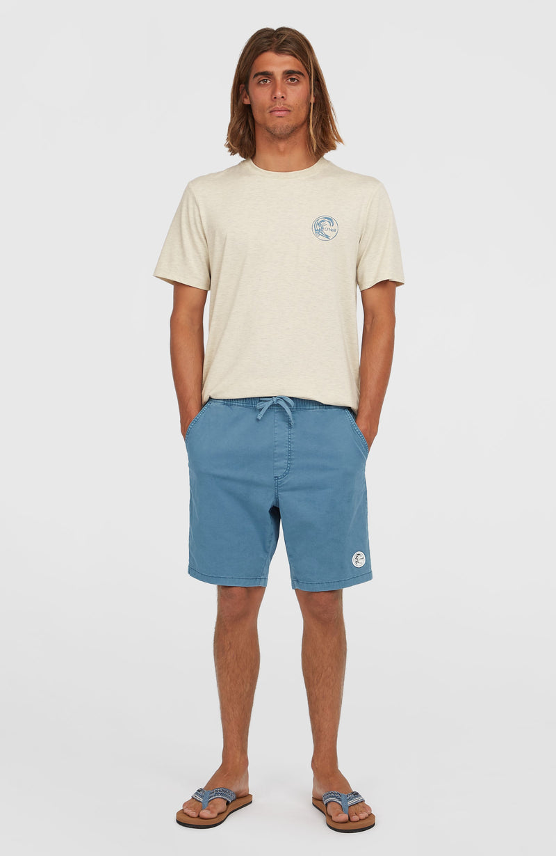 oneill Men O'Riginals Walk Shorts | Blue
