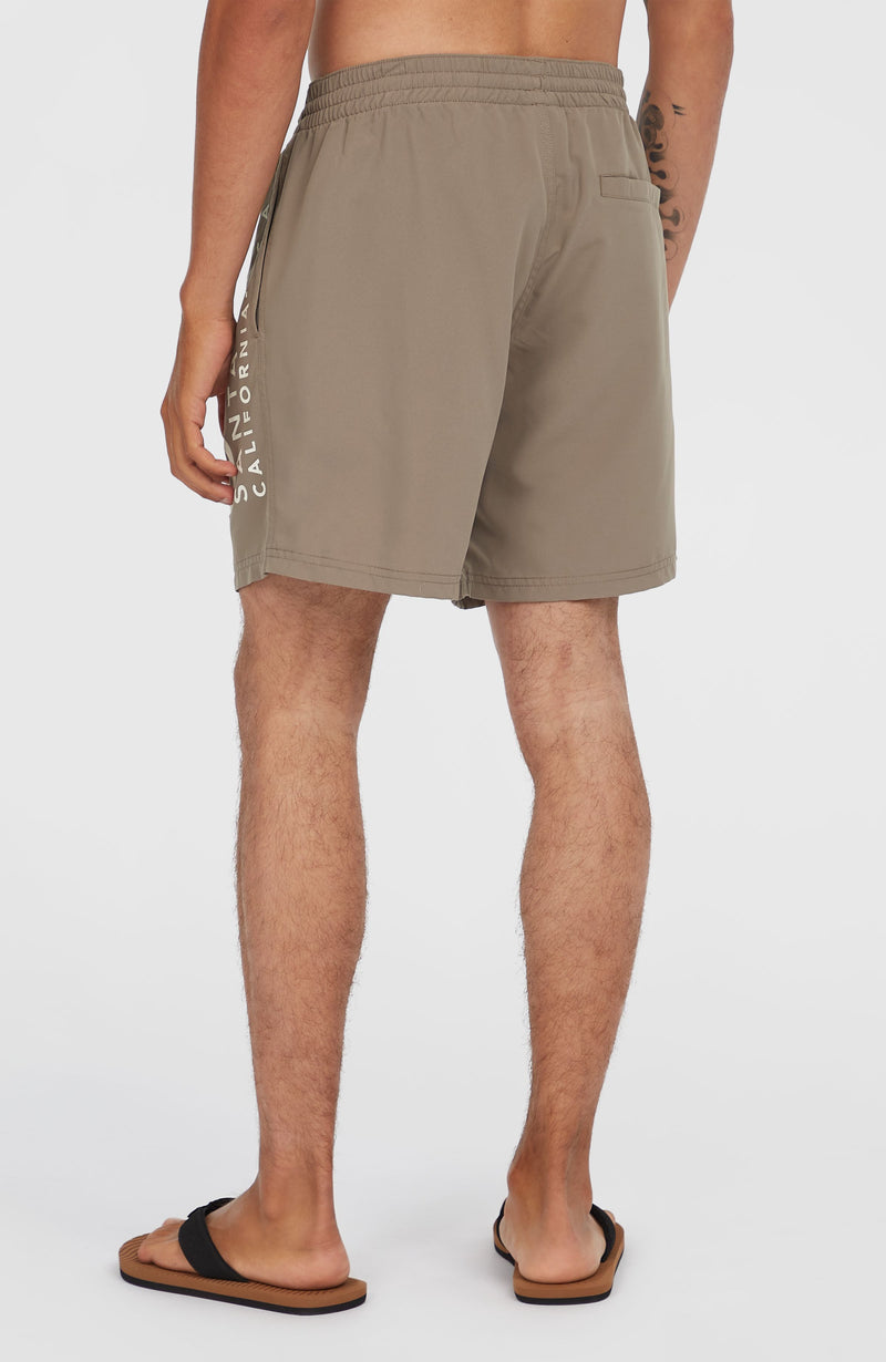 Oneill Men Original Cali 16'' Swim Shorts | Brown