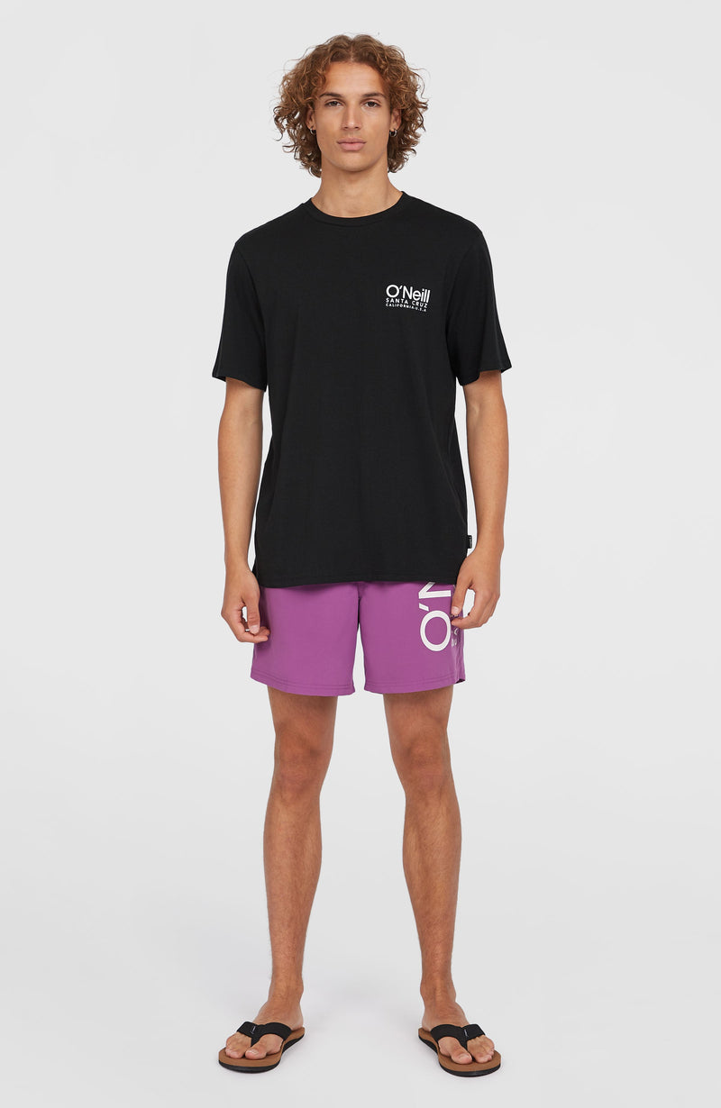 Oneill Men Original Cali 16'' Swim Shorts | Purple