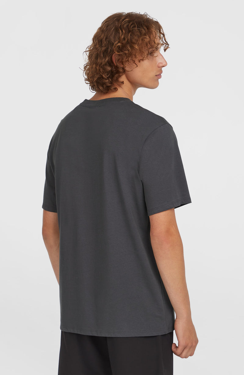 Oneill Men Original Cali Logo T-Shirt | Grey