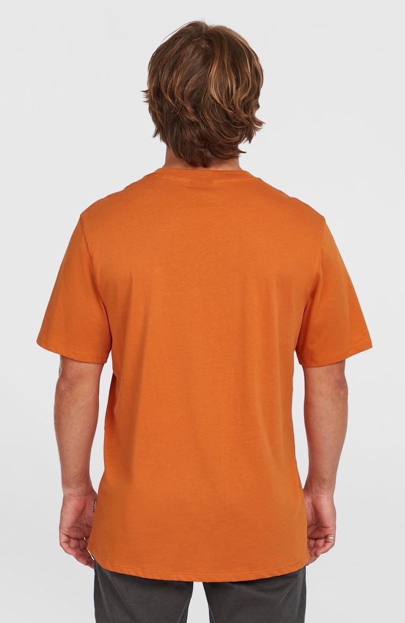 Oneill Men Original Cali Logo T-Shirt | Orange