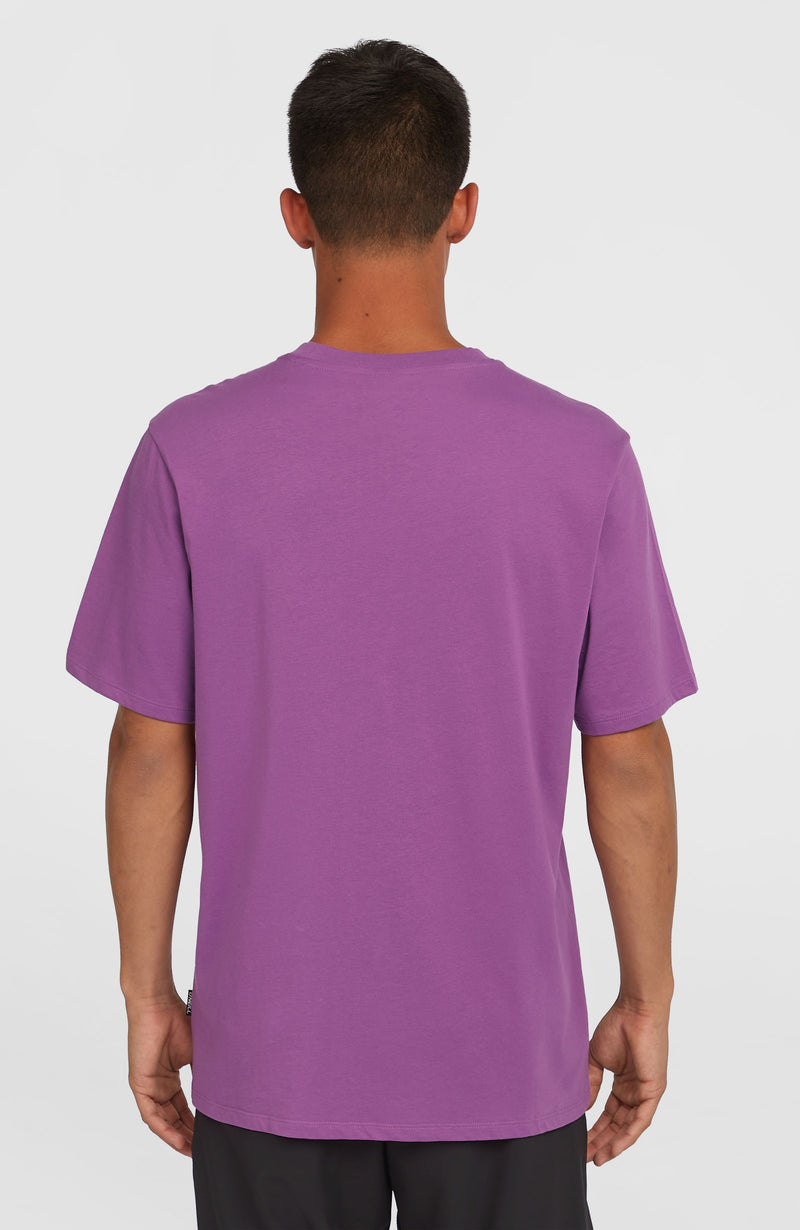 Oneill Men Original Cali Logo T-Shirt | Purple