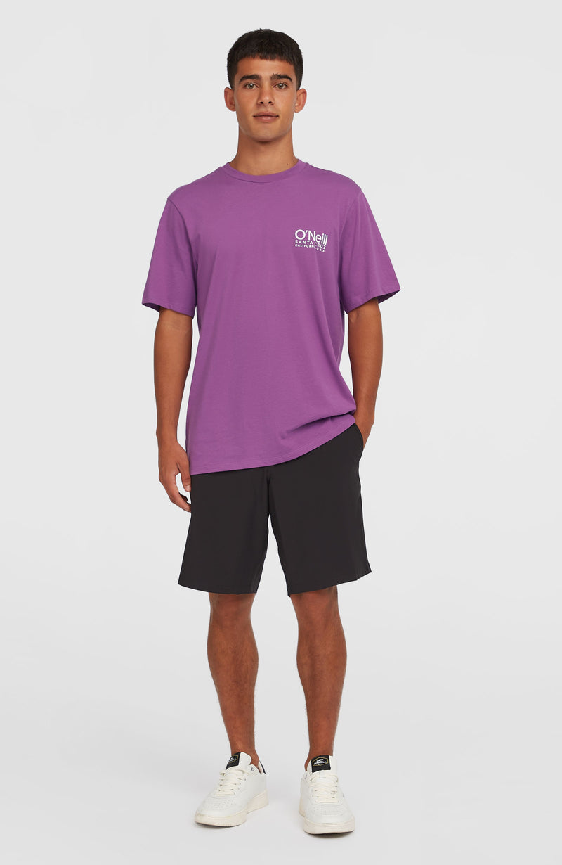 Oneill Men Original Cali Logo T-Shirt | Purple