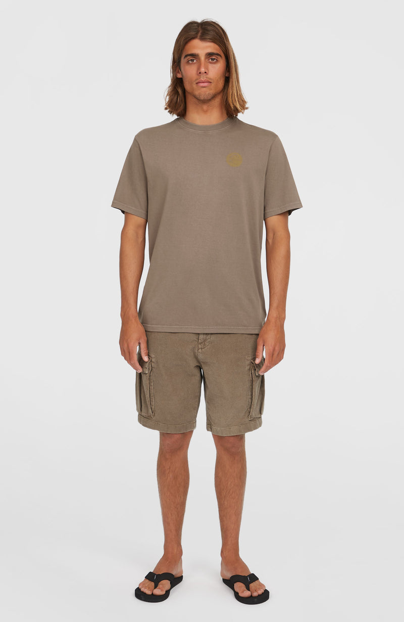 Oneill Men Originals Vintage Graphic T-Shirt | Brown