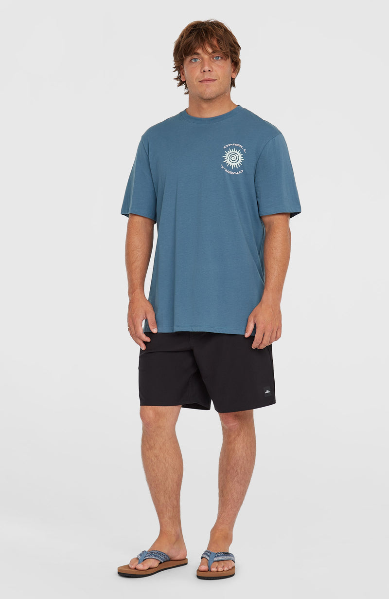 Oneill Men Photo Print T-Shirt | Blue