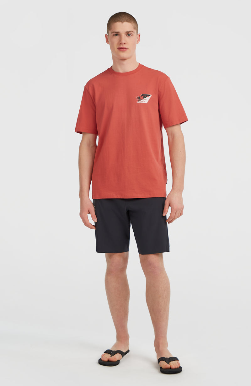 Oneill Men Re-Issue Graphic T-Shirt | Red