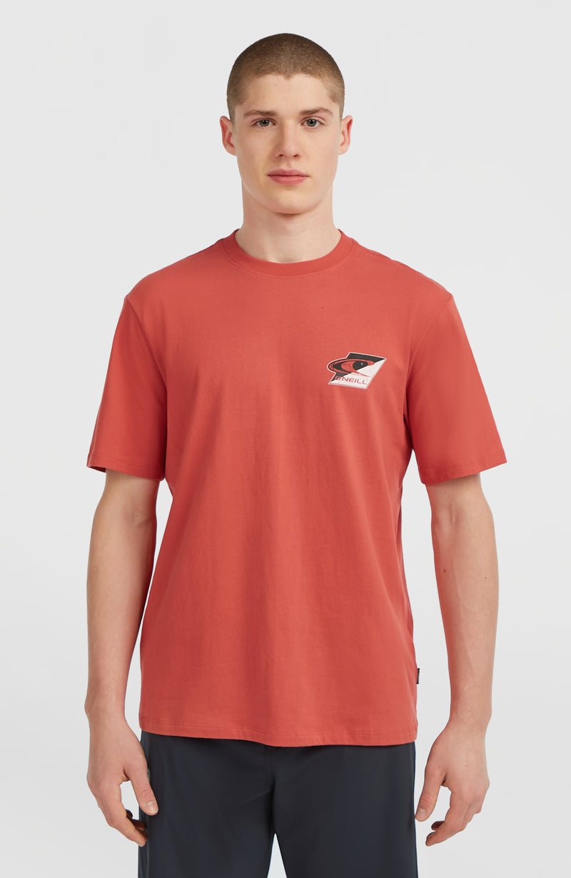 oneill Men Re-Issue Graphic T-Shirt | Red
