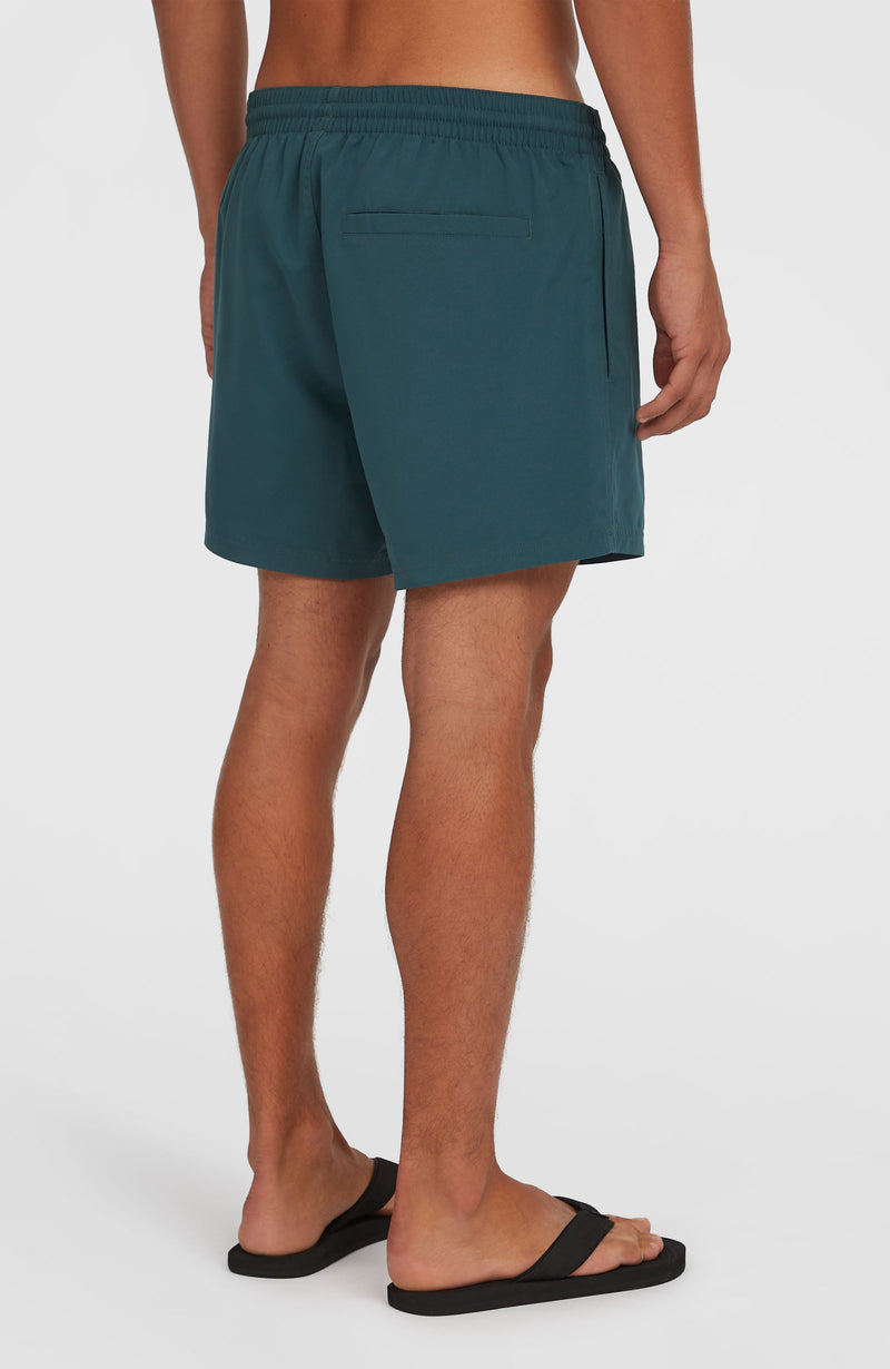 Oneill Men Retro 14'' Swim Shorts | Blue Mix