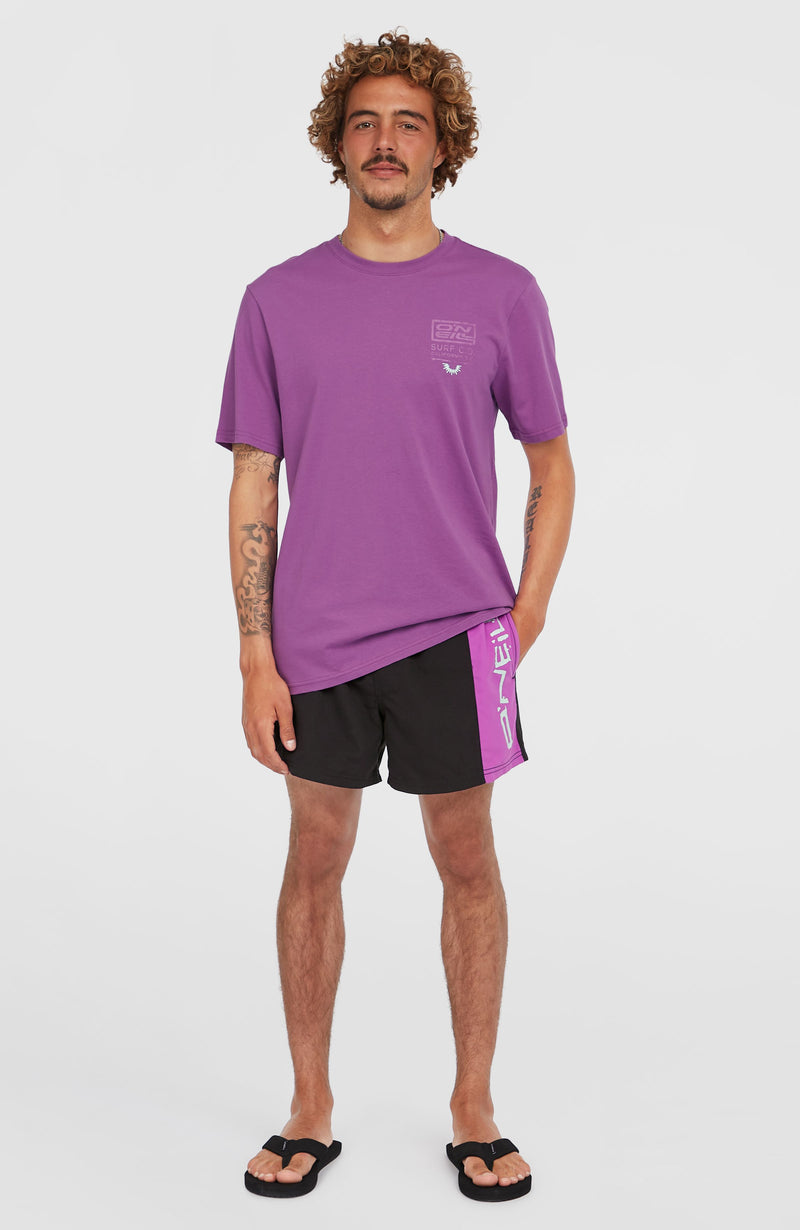 Oneill Men Retro 14'' Swim Shorts | Purple Mix
