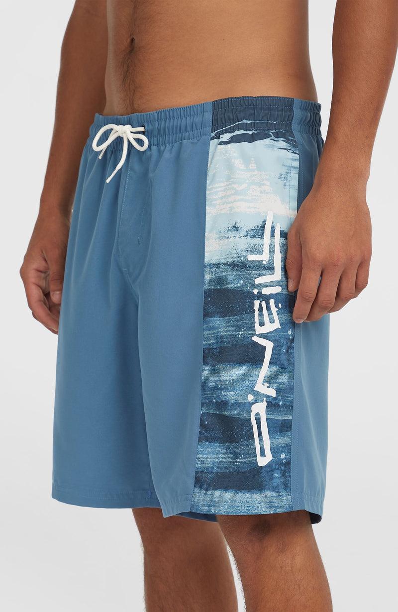 Oneill Men Retro 19'' Swim Shorts | Blue