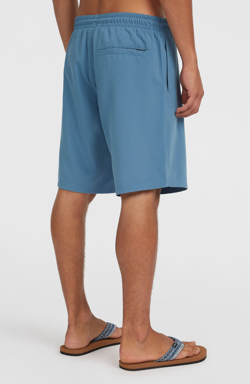 Oneill Men Retro 19'' Swim Shorts | Blue