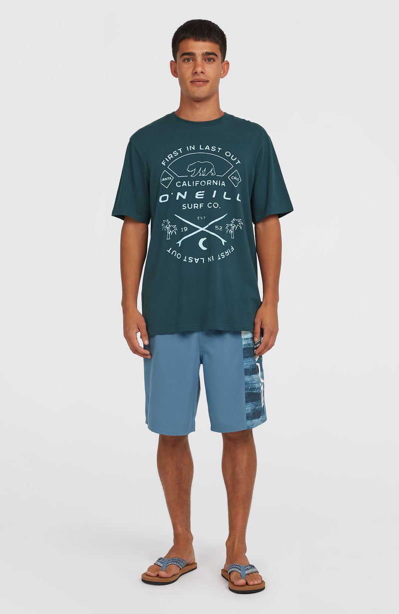 Oneill Men Retro 19'' Swim Shorts | Blue