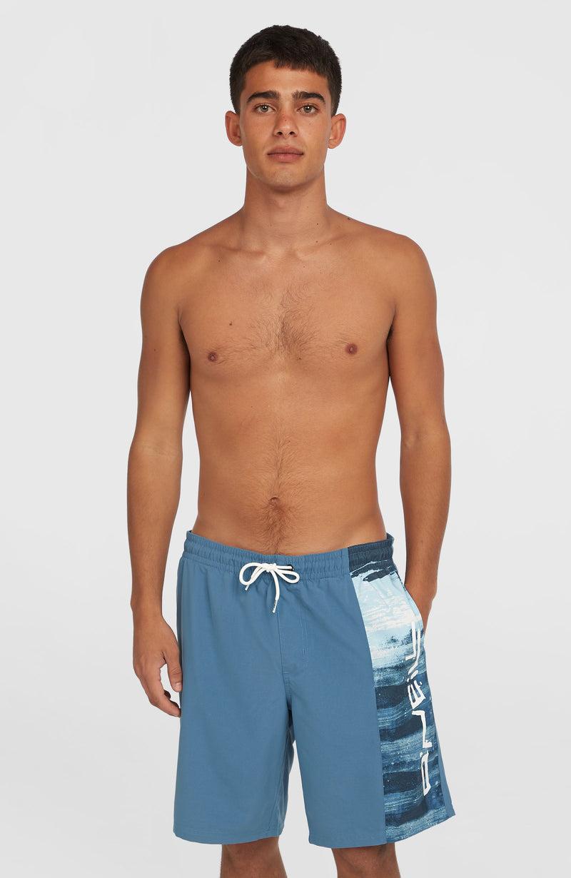 oneill Men Retro 19'' Swim Shorts | Blue