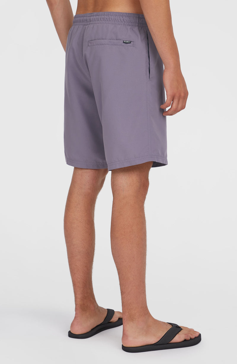 Oneill Men Retro 19'' Swim Shorts | Purple Mix