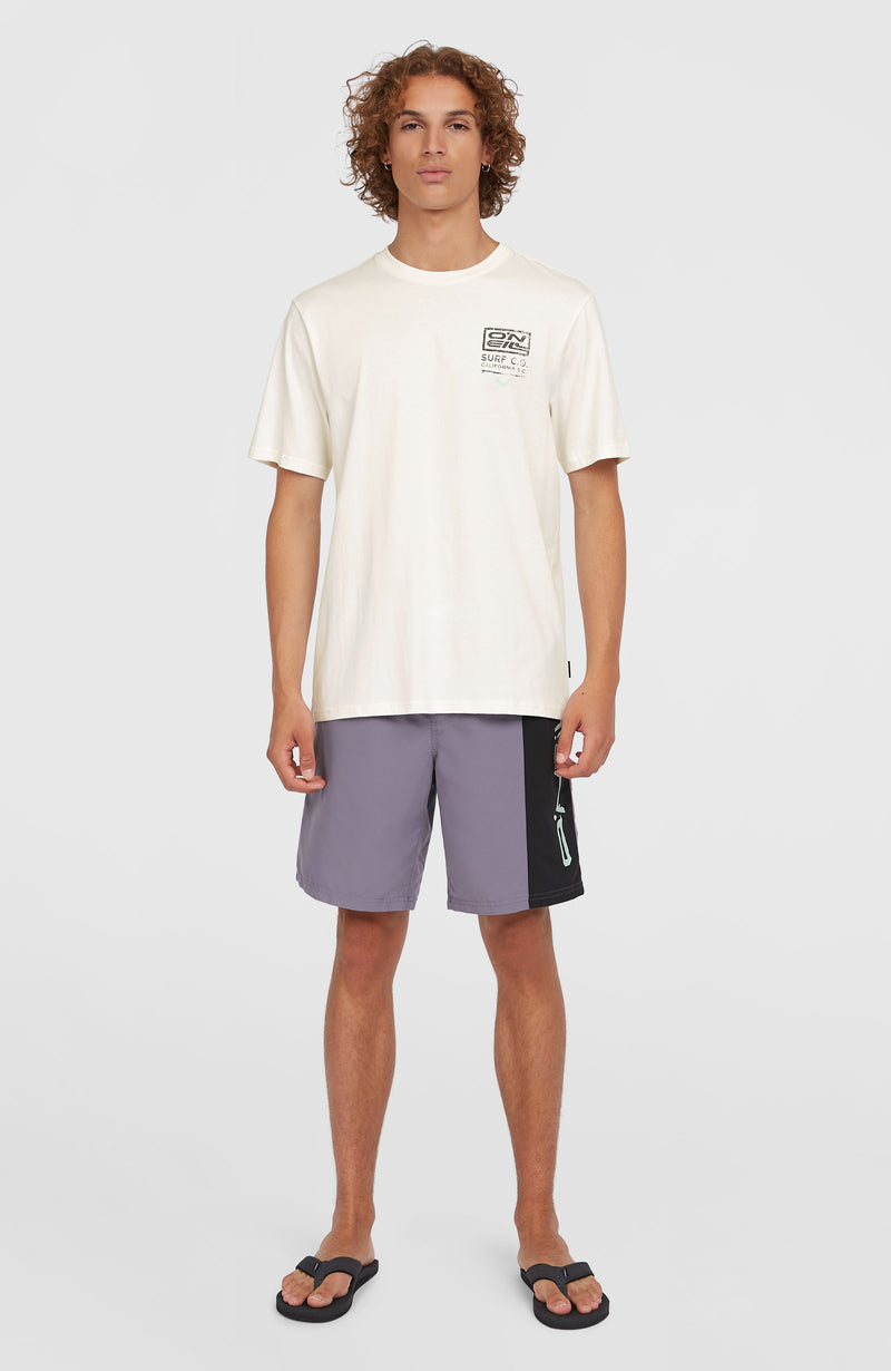 Oneill Men Retro 19'' Swim Shorts | Purple Mix