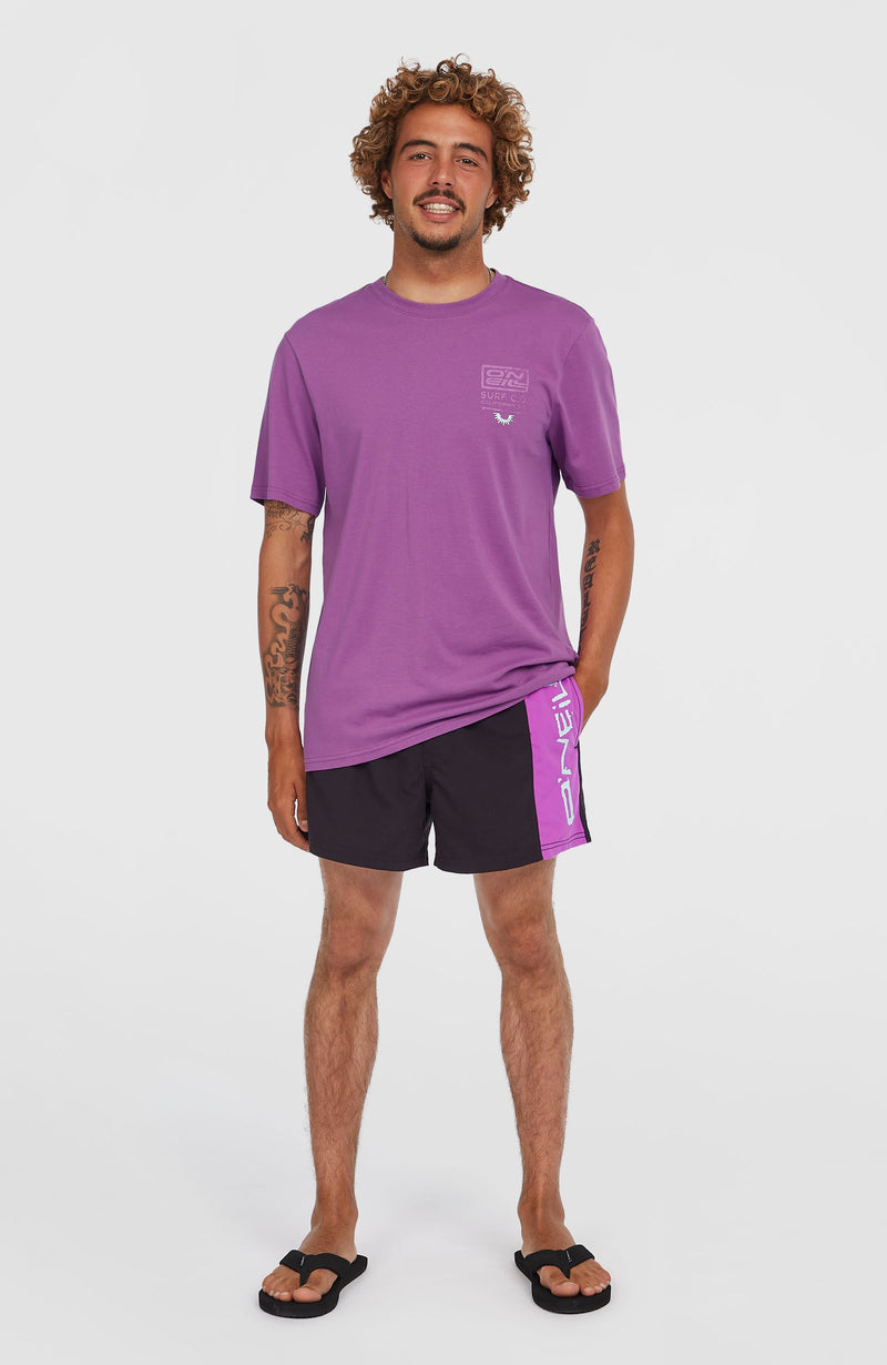 Oneill Men Retro Graphic T-Shirt | Purple