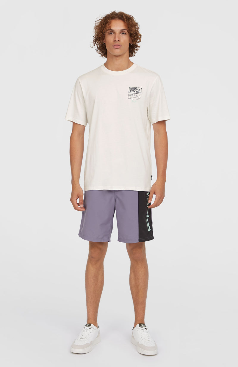 Oneill Men Retro Graphic T-Shirt | White