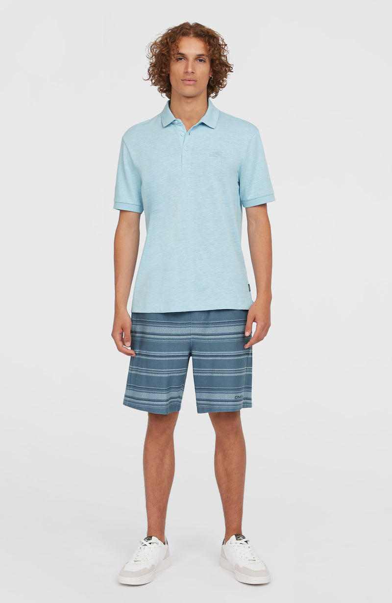 Oneill Men Slub Small Logo Polo | Blue