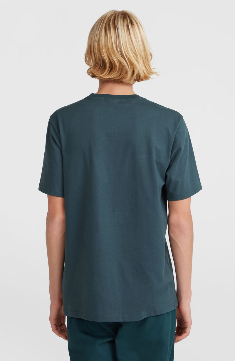 Oneill Men Small Chest Print T-Shirt | Blue