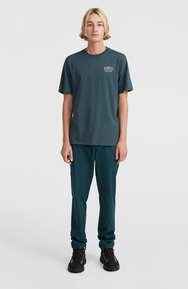 Oneill Men Small Chest Print T-Shirt | Blue