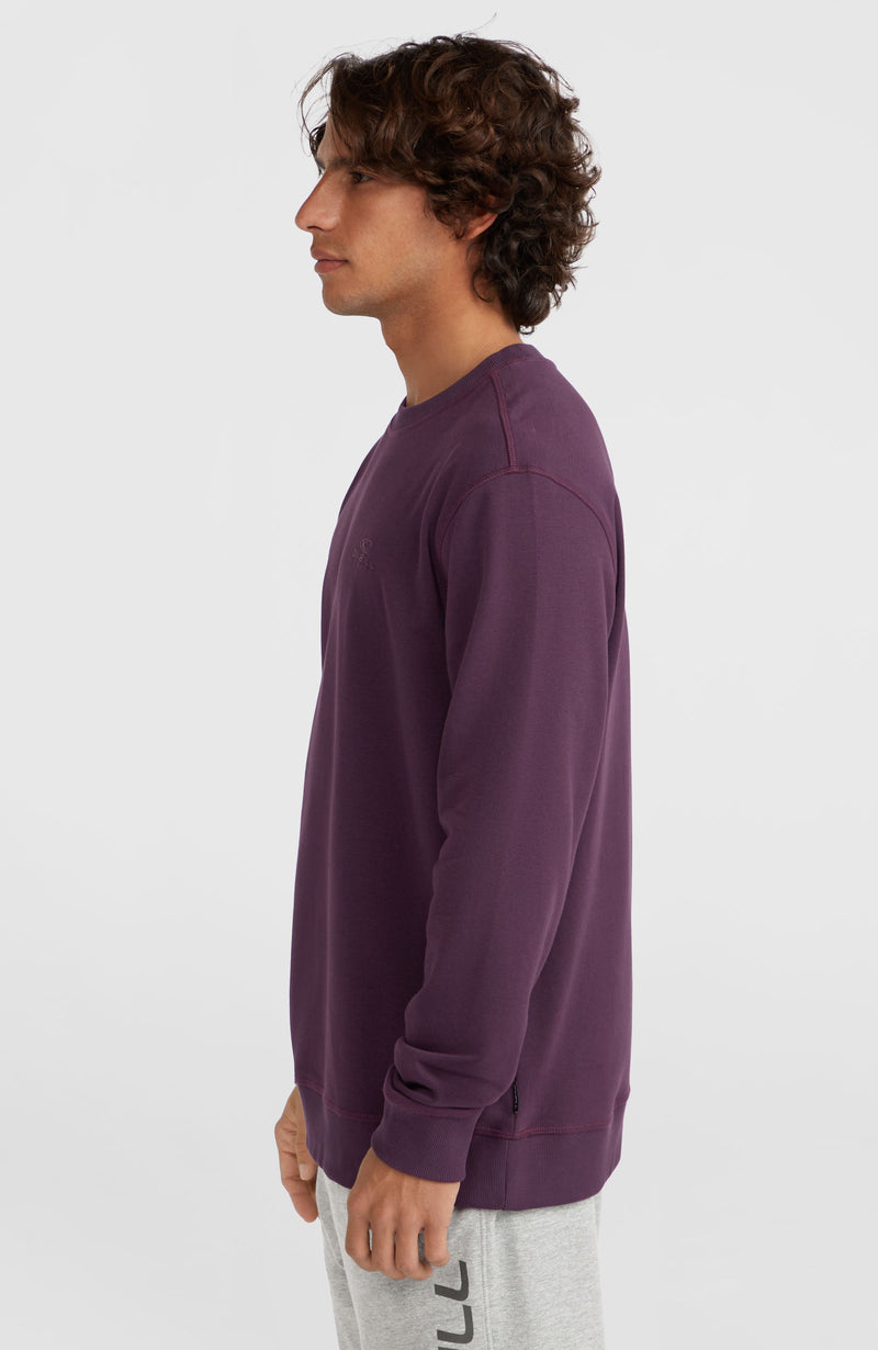 Oneill Men Small Logo Crew Sweatshirt | Purple