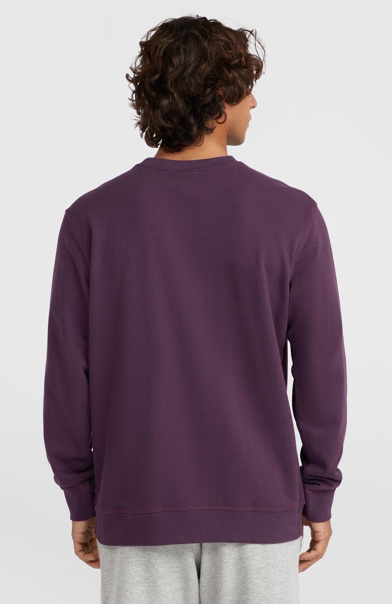 Oneill Men Small Logo Crew Sweatshirt | Purple
