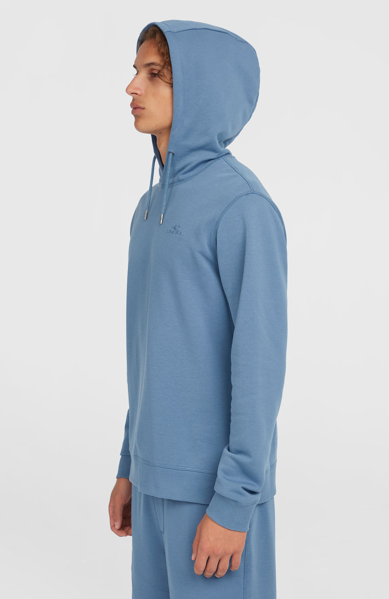 Oneill Men Small Logo Hoodie | Blue
