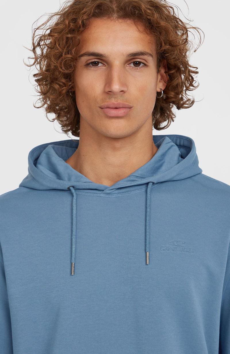 Oneill Men Small Logo Hoodie | Blue