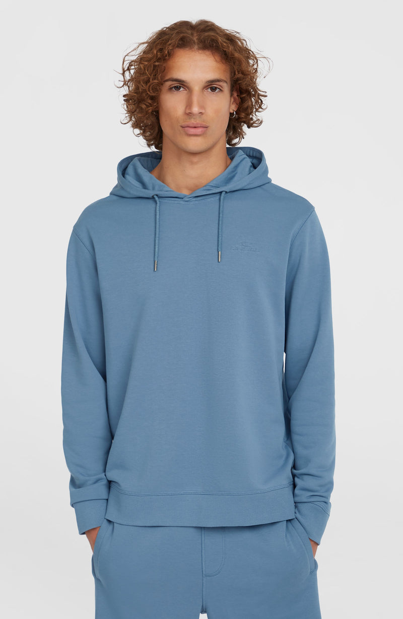 oneill Men Small Logo Hoodie | Blue