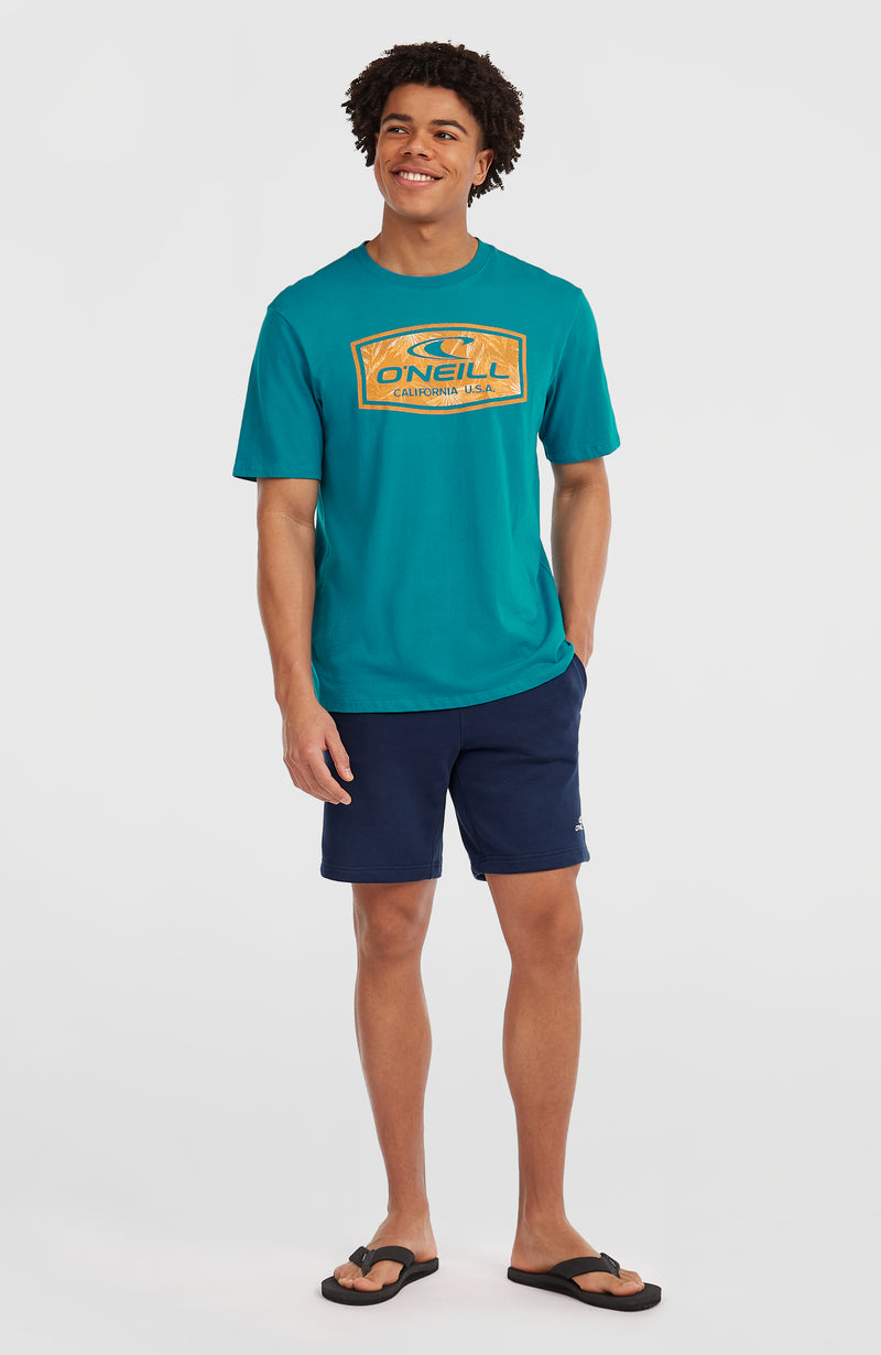 oneill Men Small Logo Sweatshorts | Blue
